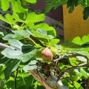 율하청운부동산공인중개사사무소 이미지