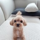 향남 병원 리스트&amp;후기🏥