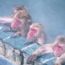 라이프온천 이미지