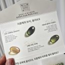몸조아 건강식품 | 올리브유 먹는법 제대로 알고 챙기기, 올리브유 효능까지 한 번에｜올록담 올리브3 후기