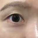 광화문 속눈썹펌 | 살롱드소피 재방문 후기! 노글루 펌으로 눈 시림 없이 바짝 올리기