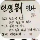독도회집 이미지