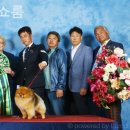 골든캐슬 쇼룸 이미지