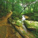 팔각정 입구 이미지