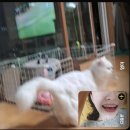 카페뜰안;애 | 블로그 첫돌🎂