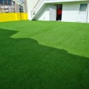 바미애견유치원 이미지