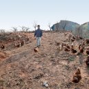 행복한농사꾼 이미지