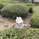 도진하나로마트 네이버블로그