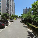 용호2로 Daum카페