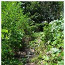 영풍두월리약사여래석불 이미지