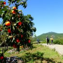 광의면사무소 이미지