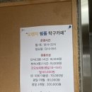 오렌지핑퐁