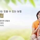 세종중앙농업협동조합 이미지