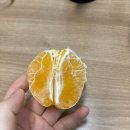 명랑핫도그갈마점 | 널 한입에 치즈처럼 집어넣을 테다