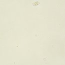 조이동물병원 이미지