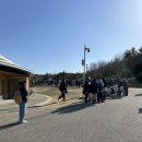 보은옥 | 일본 나고야 지브리파크 동선 프리미엄 대창고 1시 예약 가는법 5개 구역 총정리 솔직 방문 후기