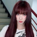레드미장원