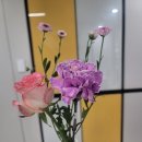 꽃님이 | 꽃님이 제철꽃믹스 1+1 후기