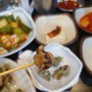 태중산아나고곰장어 이미지