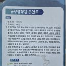 청풍보건지소 | 금당도 여행 공산트레킹 후기(진입로, 소요시간)