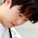 야김밥이다 이미지