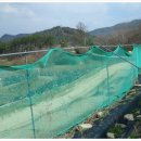 대문목장 이미지