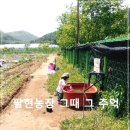 (주)아주농장 이미지