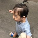 평촌센트럴소아과