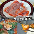 영월 맛집 내돈내산 또간집 송어회맛집:: 옥동양어장횟집