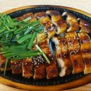 물빛마을 참장어