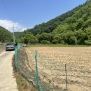 한일 태양광발전소 이미지