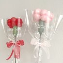 파티앤벌룬천안지사 | 천안풍선 천안레터링풍선 천안기념일풍선 천안파티장식 천안꽃풍선 벌룬앤 어버이날.스승의날 카네이션