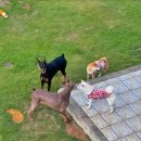 버덩 민박 이미지