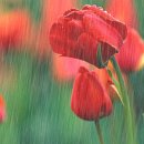 누구라도 이미지