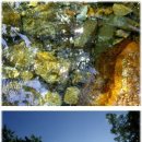 방천2리 이미지