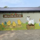 양평메추리농장 네이버블로그