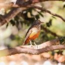 창조자원 이미지