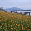 올리앤(덕소점) 이미지