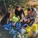 도현의원 이미지