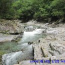 연원마을약국 이미지