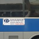 프리덤라이프