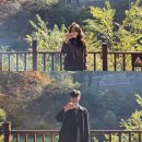 주정차단속-35 | 대전 단풍 명소, 단풍 구경하고 데이트 하기 좋은 &#34;장태산자연휴양림&#34;