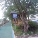 사성암인증센터 이미지