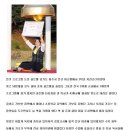 골든벨 양만