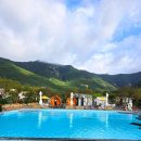 청도편백숲하우스 | 청도 가볼만한곳 캠프스테이 청도 럭셔리 글램핑의 끝판왕