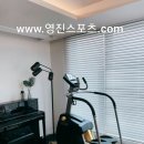 영진체형관리