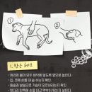 바론동물병원 이미지