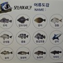 못난이샤크 실내바다낚시터 이미지