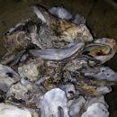 무주천마농장 이미지