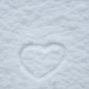 알프스펜션A 이미지